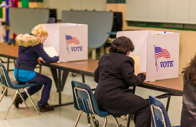 US Elections US Voters