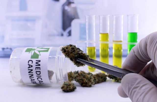 Medical Cannabis Users Suffer Data Breach Medical Cannabis Users Suffer Data Breach